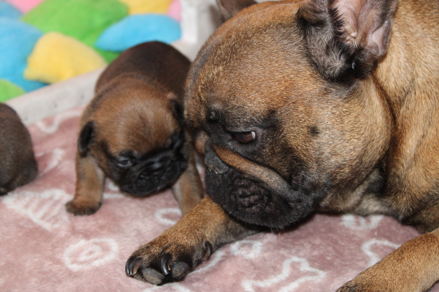 Les bébés grandissent 